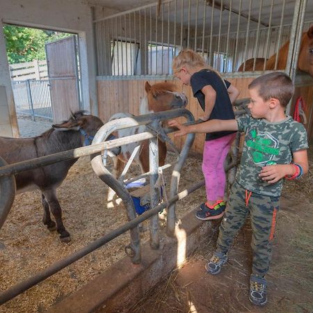 הוילה טרנטו Agritur Maso Librar מראה חיצוני תמונה