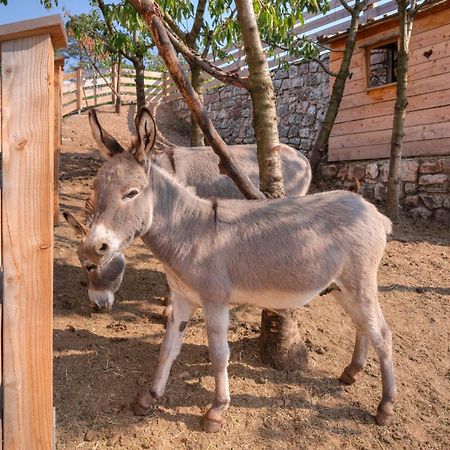 הוילה טרנטו Agritur Maso Librar מראה חיצוני תמונה