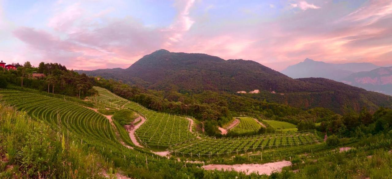 הוילה טרנטו Agritur Maso Librar מראה חיצוני תמונה