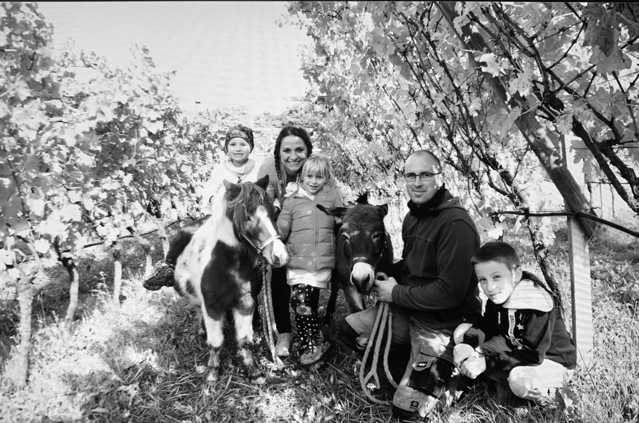 הוילה טרנטו Agritur Maso Librar מראה חיצוני תמונה