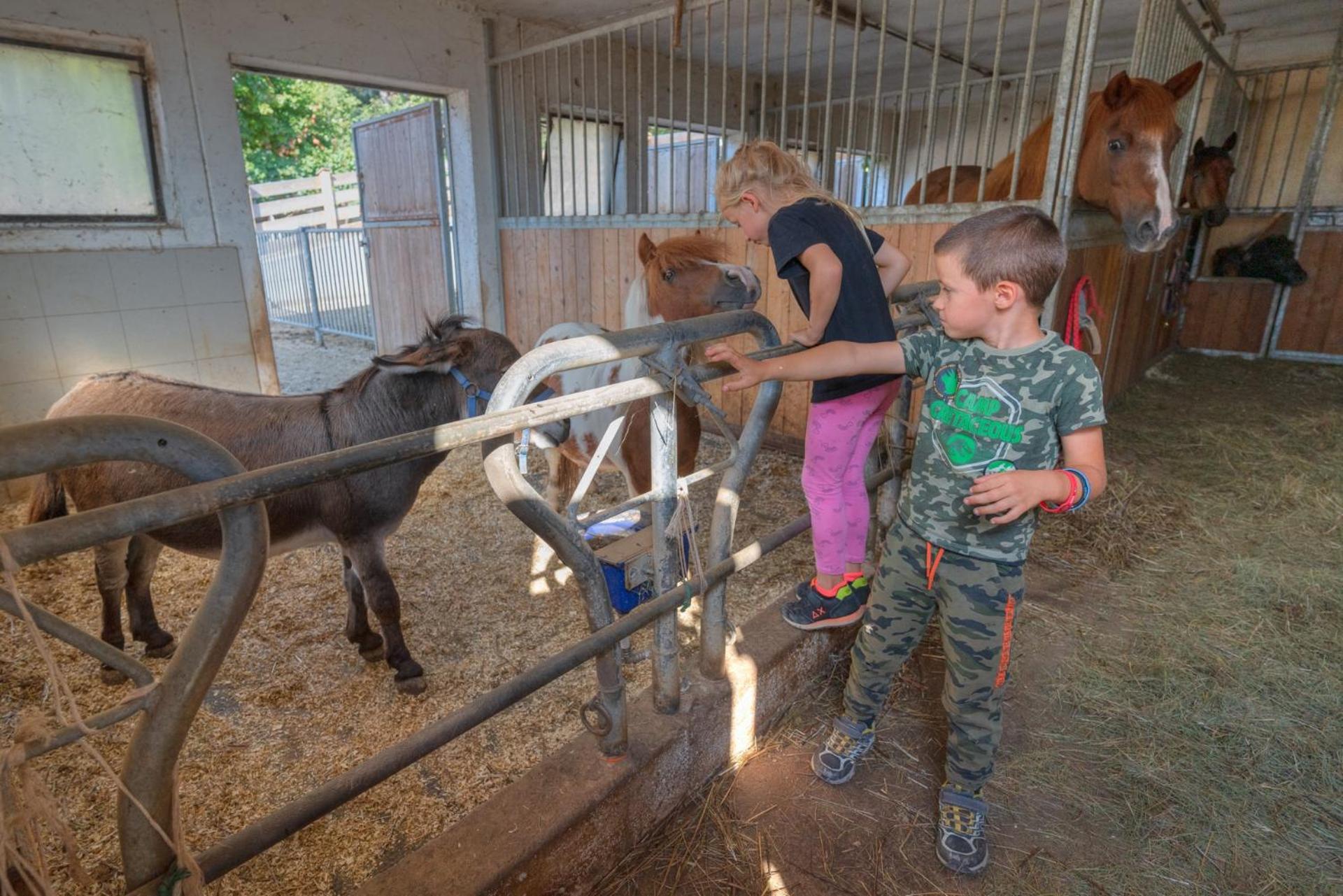 הוילה טרנטו Agritur Maso Librar מראה חיצוני תמונה